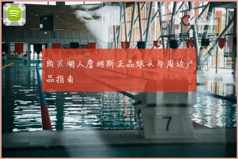 购买湖人詹姆斯正品球衣与周边产品指南