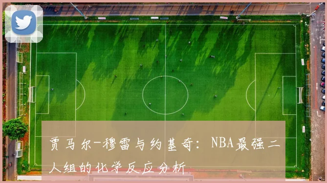 贾马尔-穆雷与约基奇:NBA最强二人组的化学反应分析