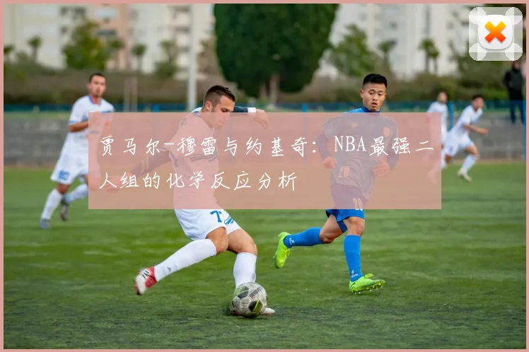 贾马尔-穆雷与约基奇：NBA最强二人组的化学反应分析